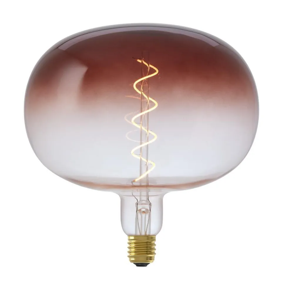 Kwantum LED Lamp 22x22,5 Cm Bruin E27 Dimbaar | Lichtbronnen